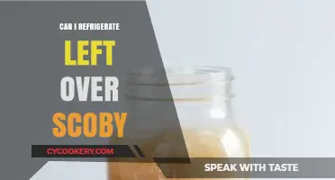 Refrigerating Leftover SCOBY: Tips for Storing Kombucha Culture Safely