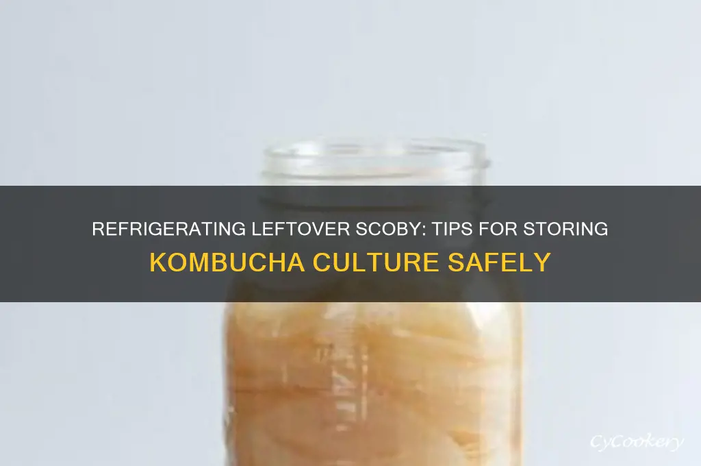 can i refrigerate left over scoby