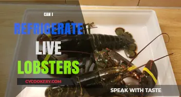 Refrigerating Live Lobsters: Best Practices for Freshness and Safety