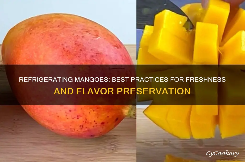 can i refrigerate mango