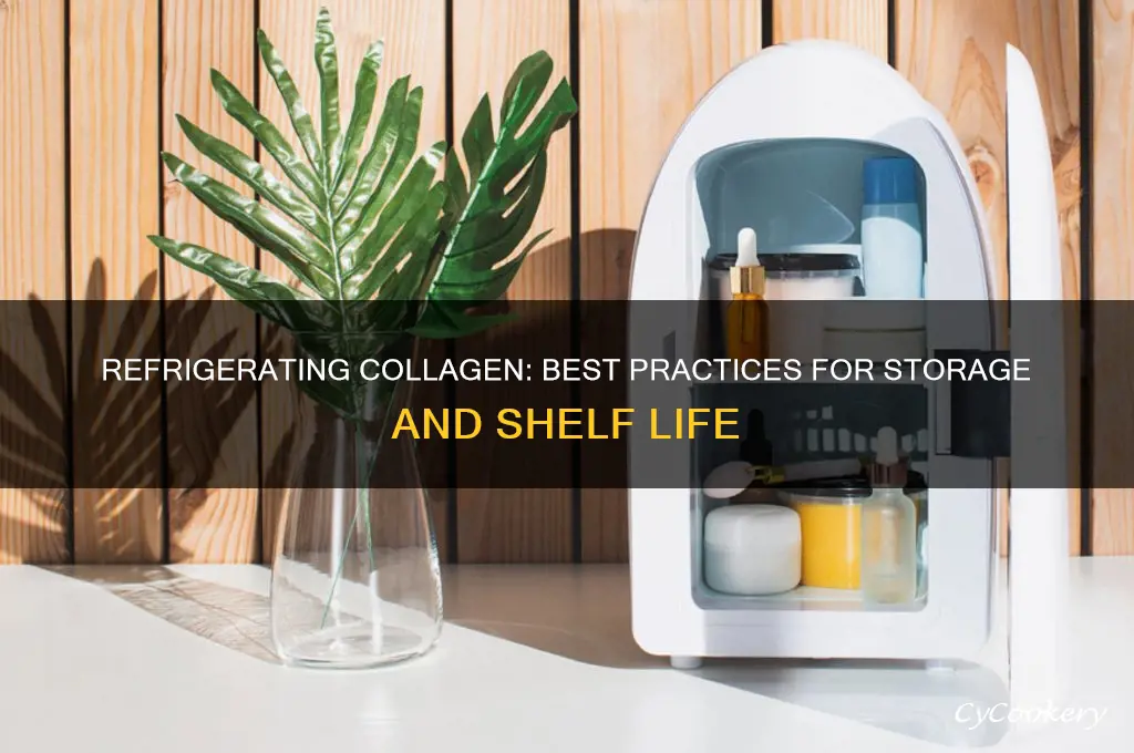 can i refrigerate my collagen