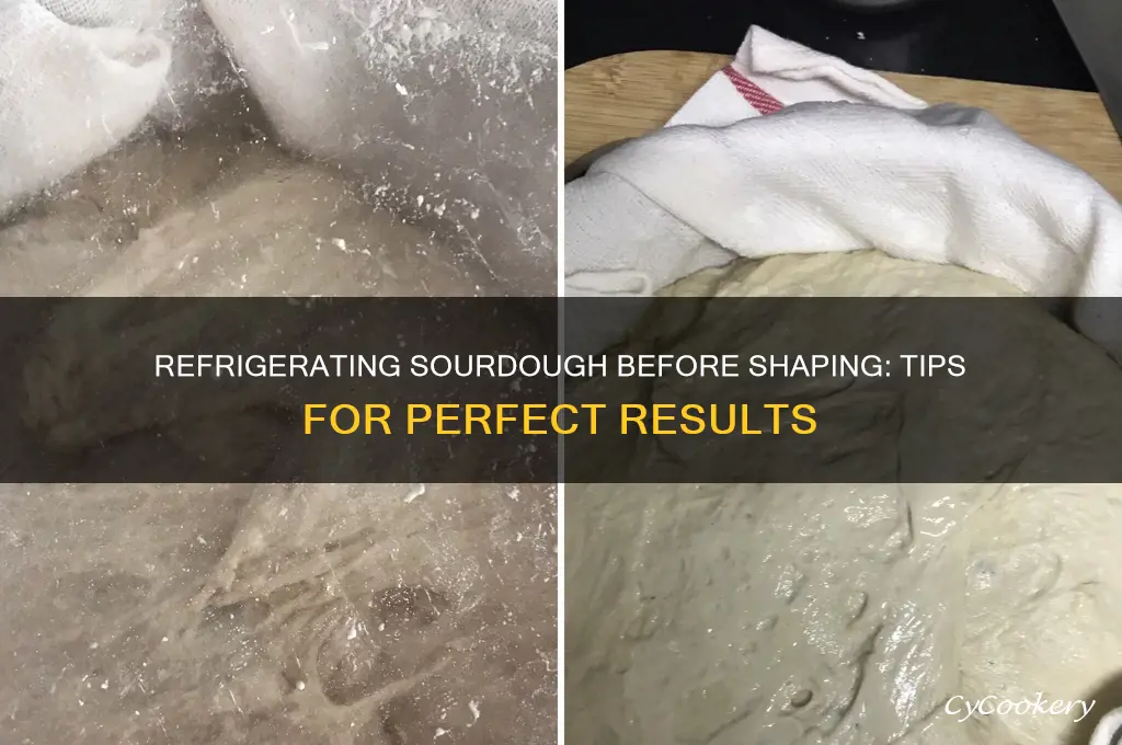 can i refrigerate my sourdough before shaping