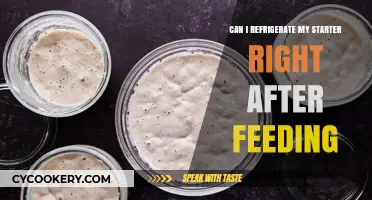 Refrigerating Starter Post-Feeding: Best Practices for Sourdough Care