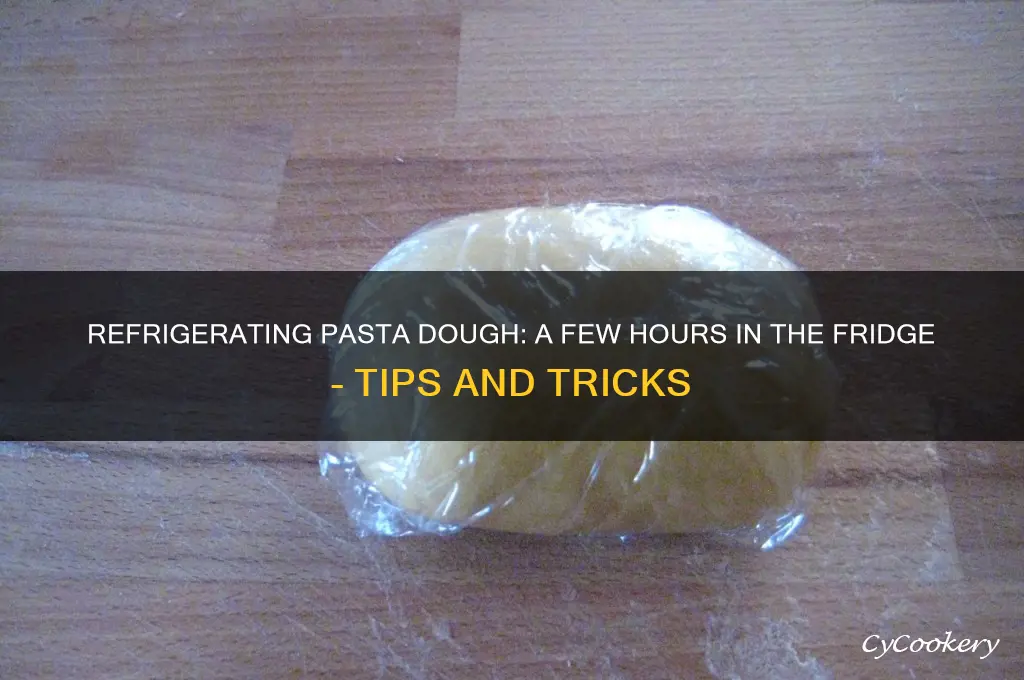 can i refrigerate pasta dough for a few hours