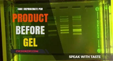 Refrigerating PCR Products Before Gel Electrophoresis: Best Practices and Tips