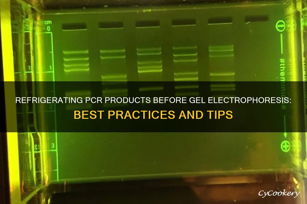 can i refrigerate pcr product before gel