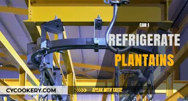Refrigerating Plantains: Tips for Storage and Freshness