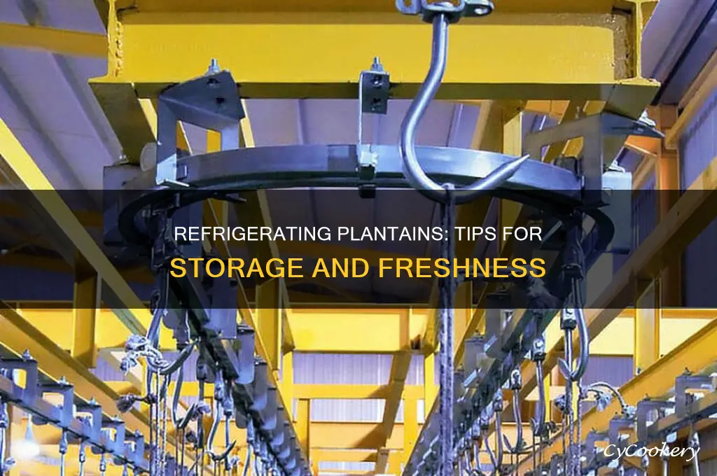 can i refrigerate plantains
