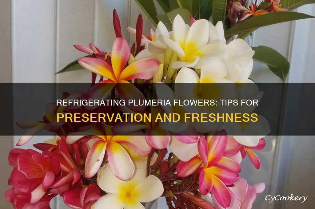 can i refrigerate plumeria flowers