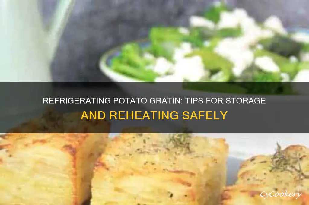 can i refrigerate potato gratin