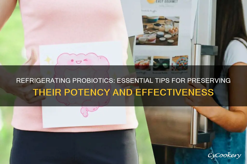 can i refrigerate probiotics