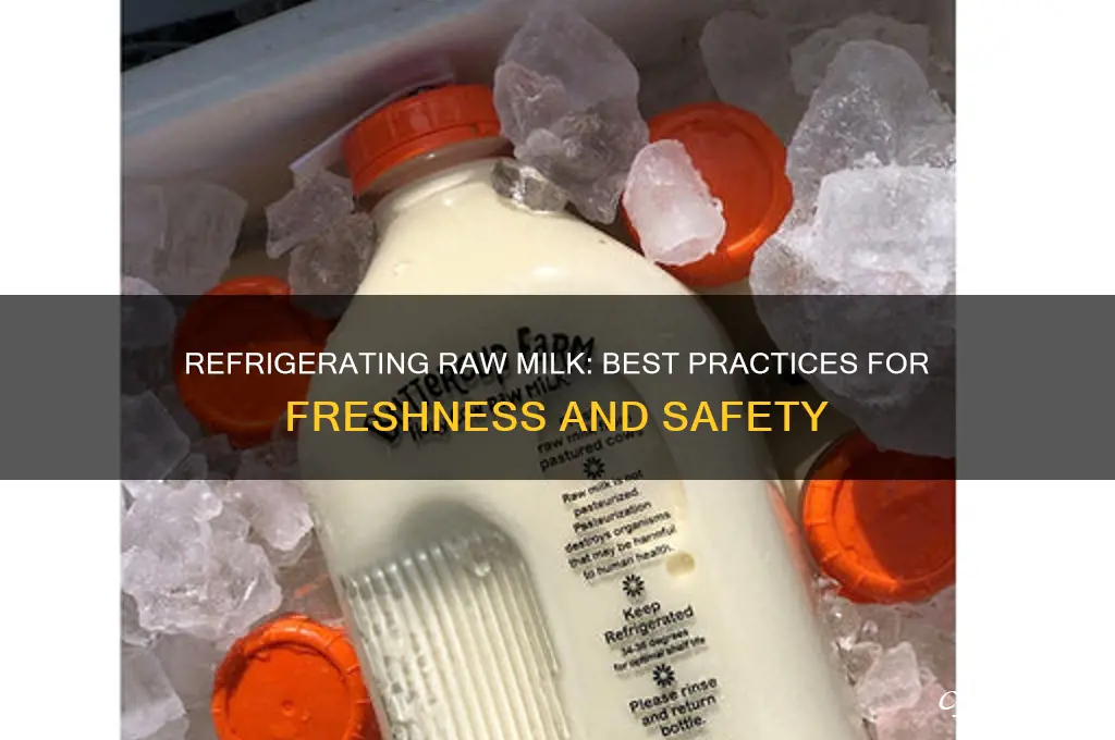 can i refrigerate raw milk