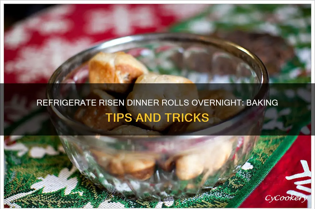 can i refrigerate risen dinner rolls overnight before backing
