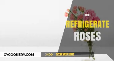 Refrigerating Roses: Tips to Preserve Freshness and Extend Bloom Life