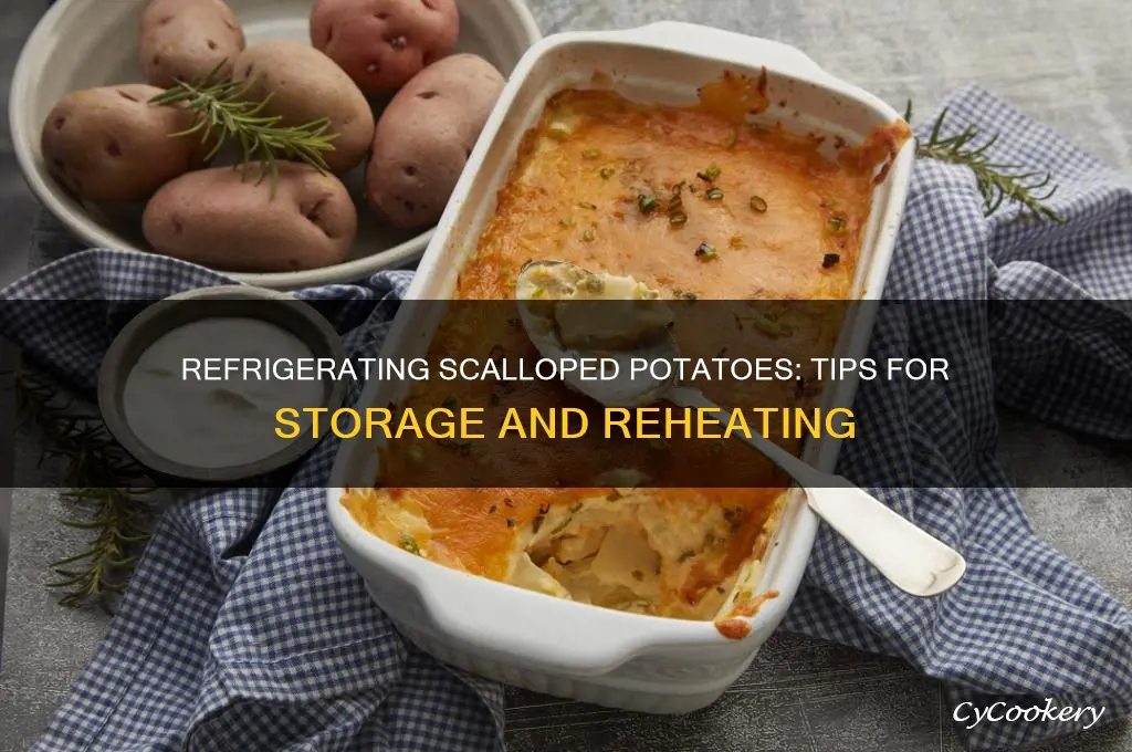 can i refrigerate scalloped potatoes