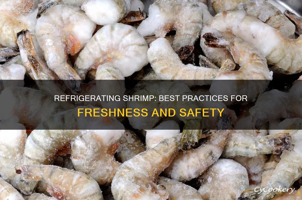 can i refrigerate shrimp