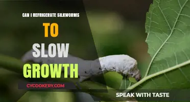 Refrigerating Silkworms: Effective Method to Slow Their Growth Rate?