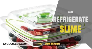 Can You Refrigerate Slime? Storage Tips for Longer Lasting Goo