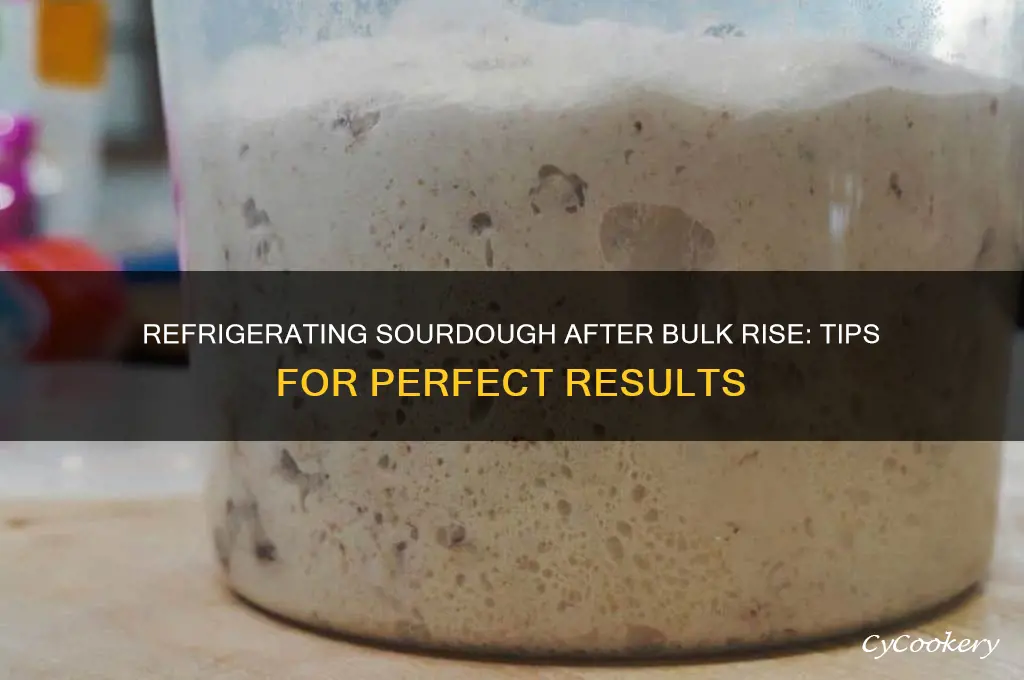 can i refrigerate sourdough after bulk rise