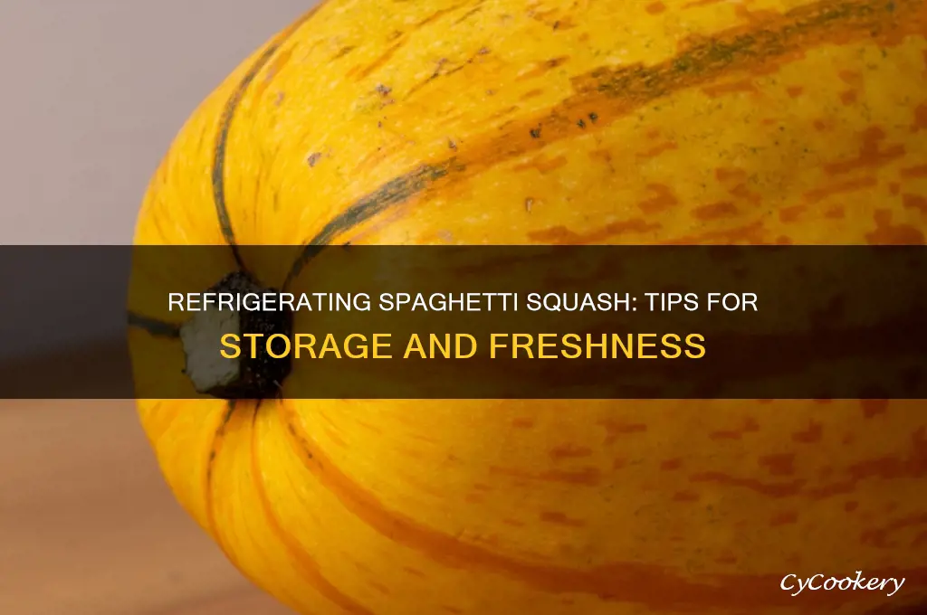 can i refrigerate spaghetti squash