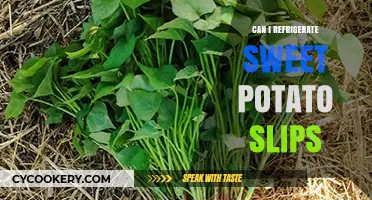 Refrigerating Sweet Potato Slips: Best Practices for Storage and Growth