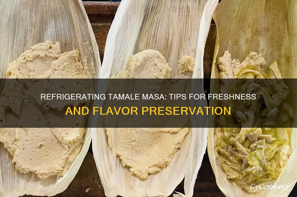 can i refrigerate tamale masa