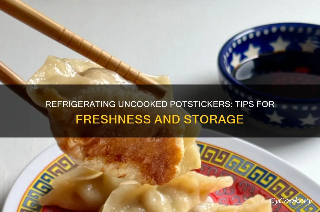 can i refrigerate uncooked potstickers