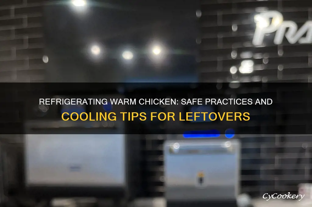 can i refrigerate warm chicken