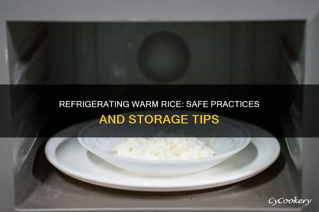 can i refrigerate warm rice