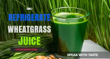 Refrigerating Wheatgrass Juice: Best Practices for Freshness and Nutrient Retention