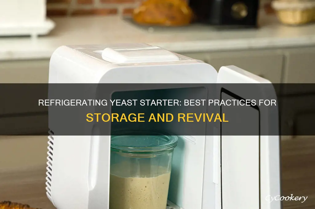 can i refrigerate yeast starter
