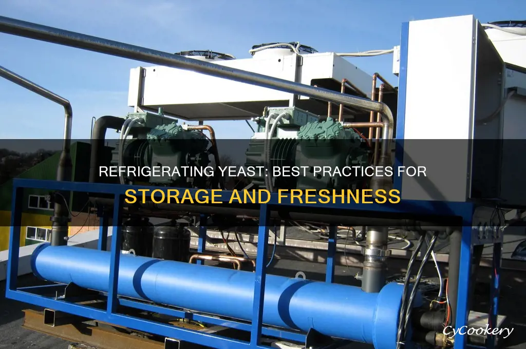 can i refrigerate yeast