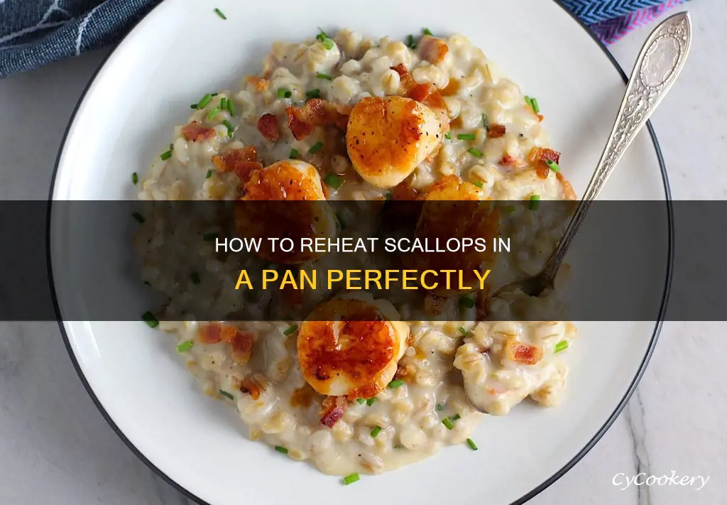 can I reheat scallops in a pan