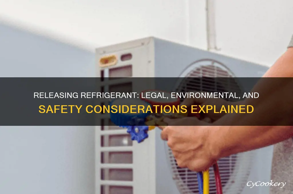 can i release refrigerant