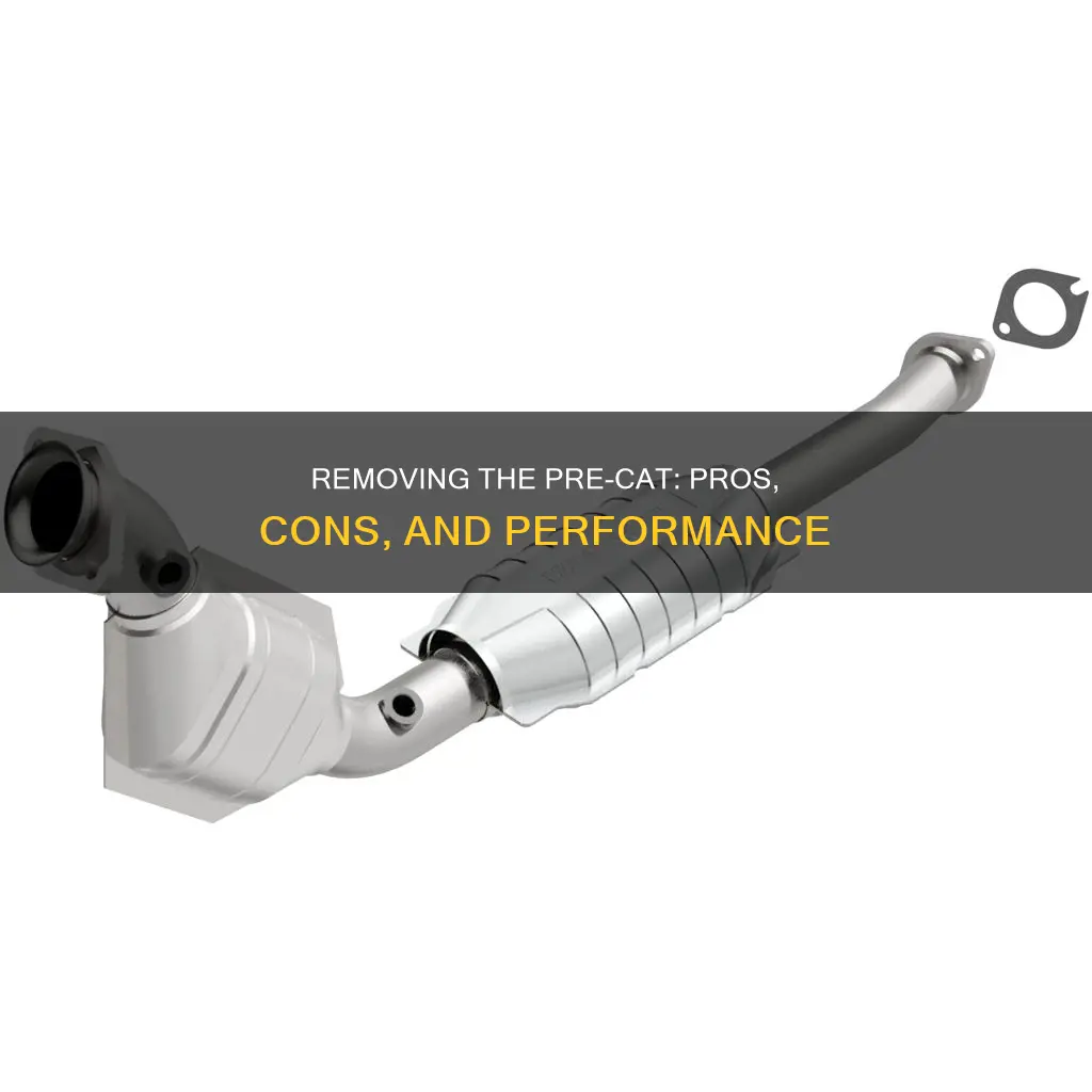 can I remove pan above catalytic converter