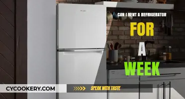 Renting a Refrigerator for a Week: Is It Possible and Practical?