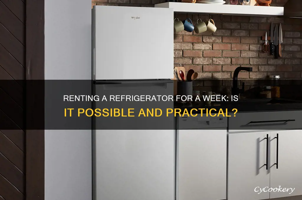 can i rent a refrigerator for a week