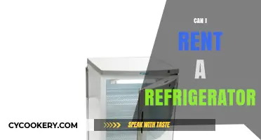 Renting a Refrigerator: Cost-Effective Options and Practical Tips