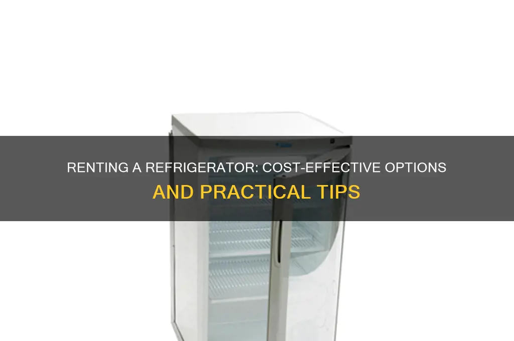 can i rent a refrigerator