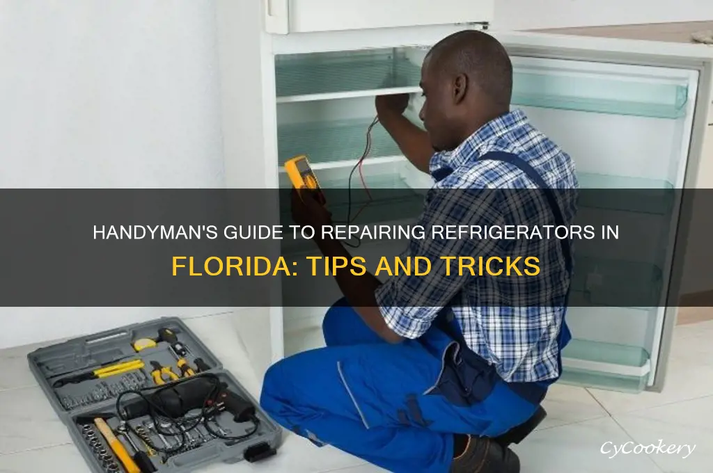 can i repair refrigerator as a handyman in florida