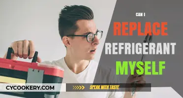DIY Refrigerant Replacement: Safe, Legal, or Best Left to Pros?