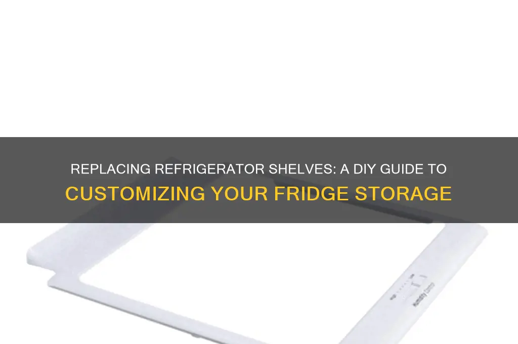 can i replace shelves in refrigerator