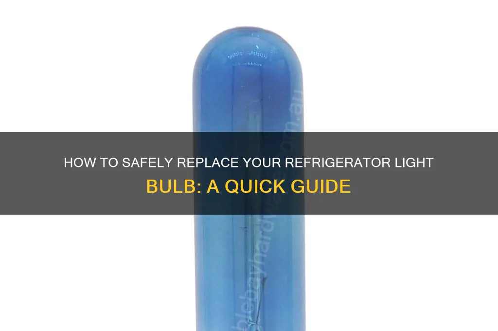 can i replace the bulb in my refrigerator