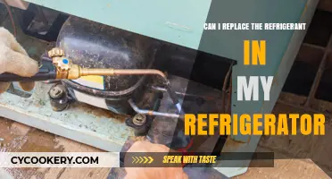 Replacing Refrigerator Refrigerant: DIY or Professional Repair Guide