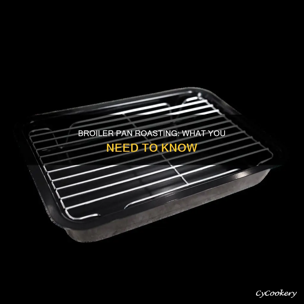 can I roast on a broiler pan
