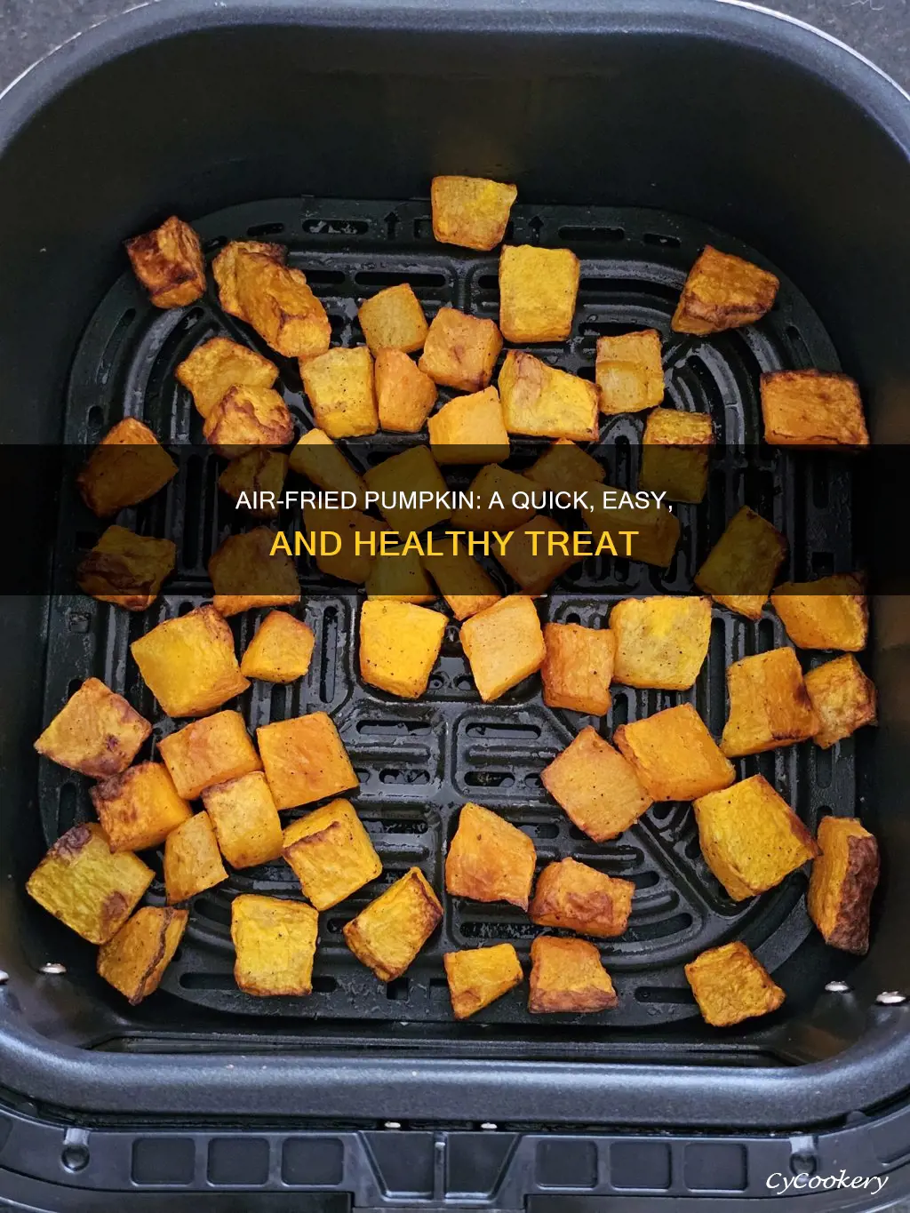 can i roast pumpkin in the air fryer