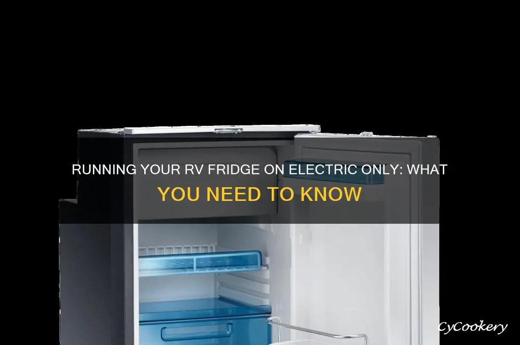 can i run my rv refrigerator on electric only