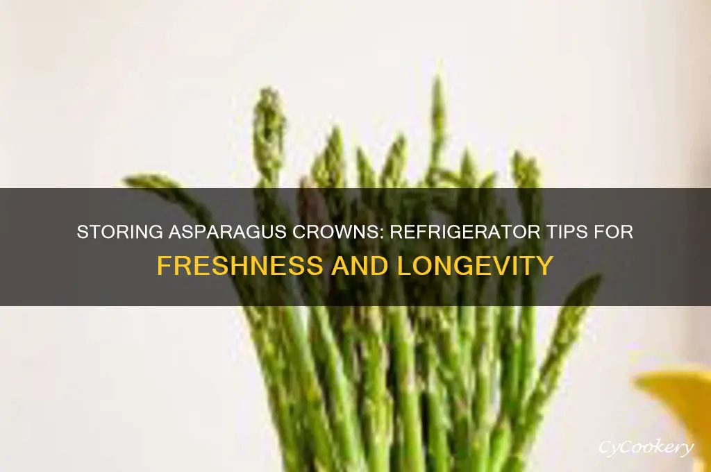 can i save asparagus crowns in the refrigerator