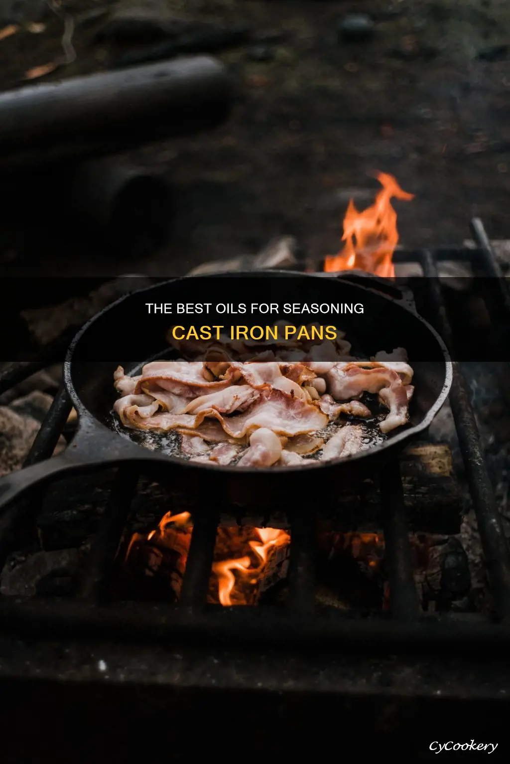 can I season a cast iron pan with canola oil