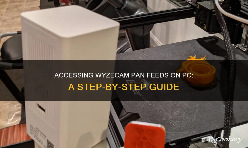 can I see my wyzecam pan from my pc